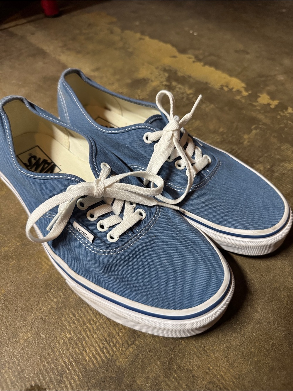 Vans Authentic Low Top Sneakers in Navy Blue and White